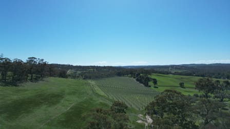 Lot 388 McCord Lane Gillentown SA 5453 - Image 2