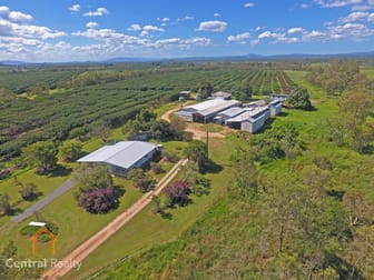 44 Carman Road Mareeba QLD 4880 - Image 2