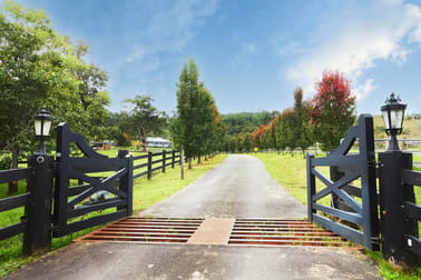 564 Chichester Dam Road, Bendolba Via Dungog NSW 2420 - Image 2
