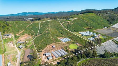 20 Puhos Road Sandy Beach NSW 2456 - Image 2