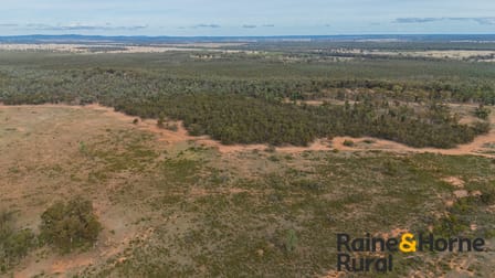 20 Sarsfield Road Tullamore NSW 2874 - Image 1