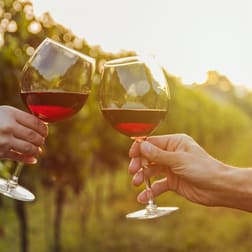 Food, Beverage & Hospitality  business for sale in Adelaide - Image 2
