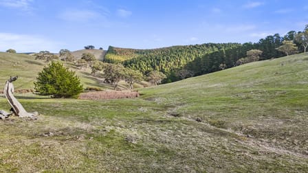 Lot 202 & 203 Lode Road Ashbourne SA 5157 - Image 3