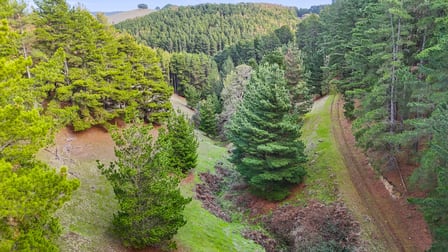 Lot 203 Lode Road Ashbourne SA 5157 - Image 2