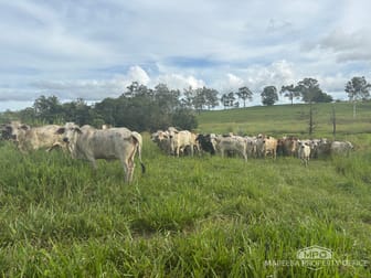 1107 Euluma Creek Road Julatten QLD 4871 - Image 2