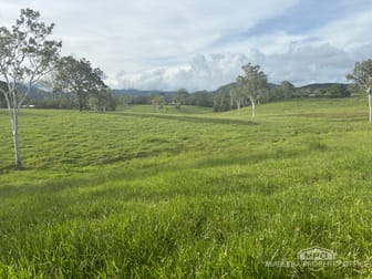 1107 Euluma Creek Road Julatten QLD 4871 - Image 3