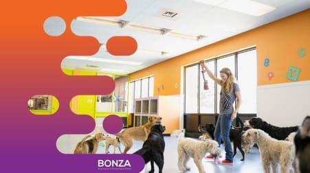 Animal Related  business for sale in Bondi Junction - Image 3