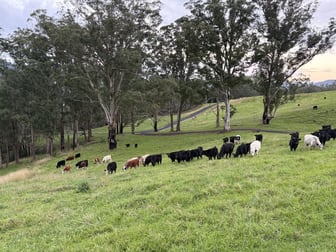 2393 Moss Vale Road Kangaroo Valley NSW 2577 - Image 2