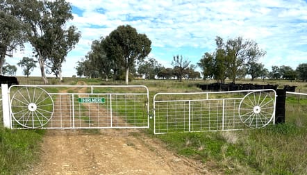 "Thirlmere" 450 Bridges Road Gunnedah NSW 2380 - Image 1