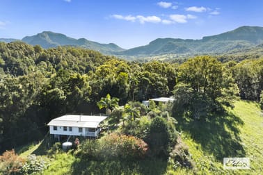 1678 Numinbah Road Numinbah NSW 2484 - Image 2