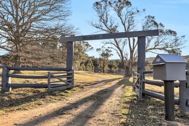 1974 Tuross Road Nimmitabel NSW 2631 - Image 1