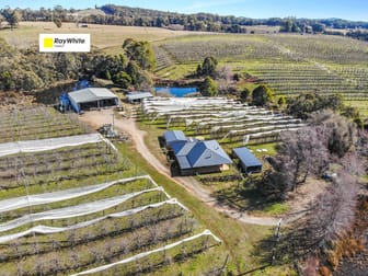 129 Cottams Road Batlow NSW 2730 - Image 1