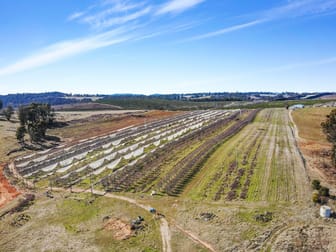 258 Lower Bago Road Batlow NSW 2730 - Image 2