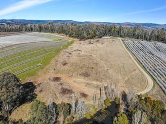 258 Lower Bago Road Batlow NSW 2730 - Image 3