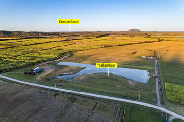 54-64 Dynes Road Valdora QLD 4561 - Image 1