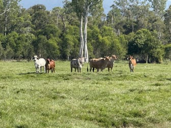 Ellerbeck QLD 4816 - Image 3