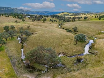 Hazeldean Road Walcha NSW 2354 - Image 1
