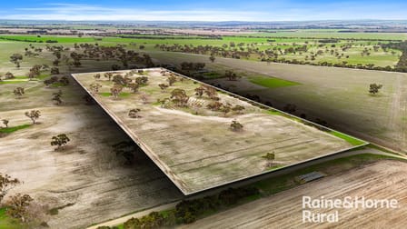 Lot 2 Joppich Road Belvidere SA 5255 - Image 3