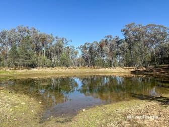 Lot 1 Onus Road, Copeton Inverell NSW 2360 - Image 2