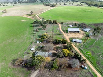 1911 Cadgee Road Naracoorte SA 5271 - Image 2