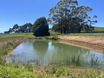 117 Faheys Lane Irishtown TAS 7330 - Image 3