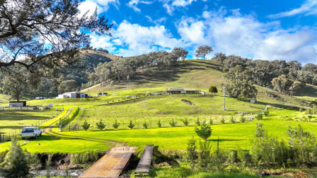 879 Duncans Creek Road Tamworth NSW 2340 - Image 1