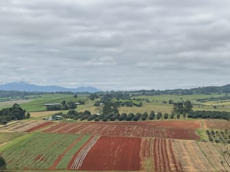 Yungaburra QLD 4884 - Image 2