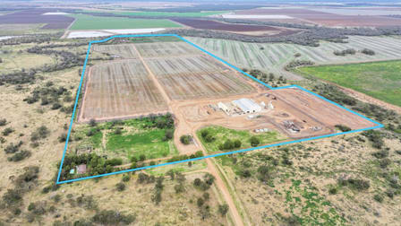 1769 Carnarvon Highway Ashley NSW 2400 - Image 1