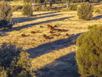 Lot 88 Flohrs Road Dululu QLD 4702 - Image 2
