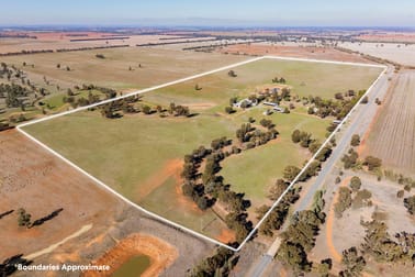 342 Matong North Road Matong NSW 2652 - Image 1