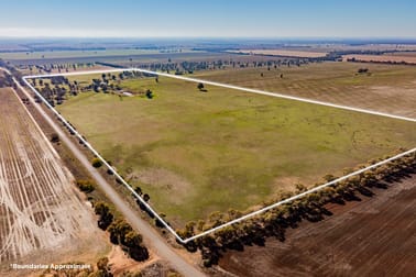 342 Matong North Road Matong NSW 2652 - Image 2
