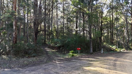 318 Old Ocean Road Glenaire VIC 3238 - Image 1