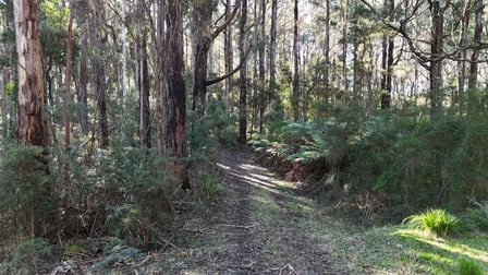 318 Old Ocean Road Glenaire VIC 3238 - Image 2