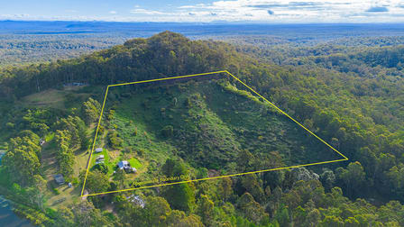 297 Grays Road Halfway Creek NSW 2460 - Image 3