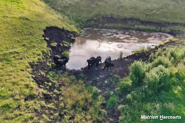 482 Old Whitelaws Track Devon North VIC 3971 - Image 3