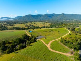 98 Doon Doon Road Kunghur NSW 2484 - Image 1
