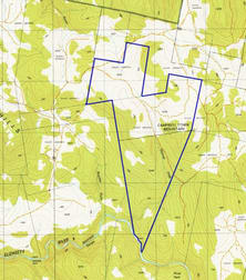 . Truelands Road Campbell Town TAS 7210 - Image 2