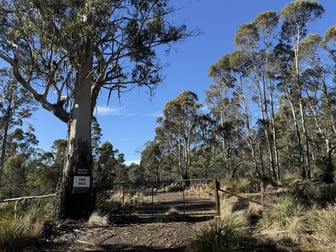. Truelands Road Campbell Town TAS 7210 - Image 1
