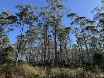 . Truelands Road Campbell Town TAS 7210 - Image 3