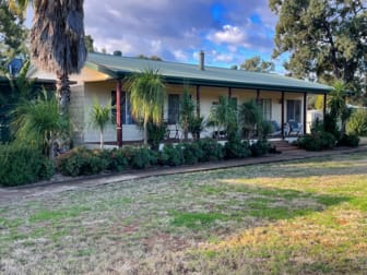 365 Tuppiari Rd Narrabri NSW 2390 - Image 1