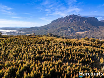 220 Holmes Road Roland TAS 7306 - Image 1