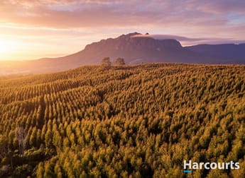 220 Holmes Road Roland TAS 7306 - Image 1