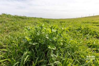 18462 Princes Highway Kingston Se SA 5275 - Image 2