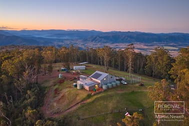 981 Costigans Road Debenham NSW 2446 - Image 2