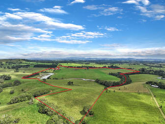 476 Russell Road North Johnstone QLD 4885 - Image 2