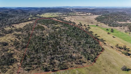 4744 Obley Road Obley NSW 2868 - Image 2