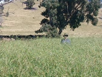 3924 Hume Highway Tarcutta NSW 2652 - Image 2