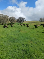 3924 Hume Highway Tarcutta NSW 2652 - Image 1