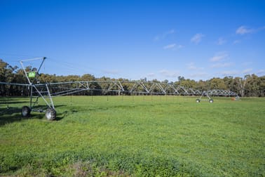 4007 Kiacatoo Road Condobolin NSW 2877 - Image 3