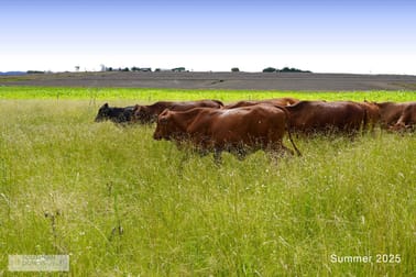 14/ Armbruster Road Junabee QLD 4370 - Image 3